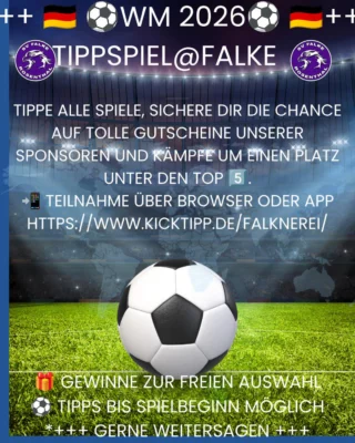 Instagram post from svfalkerosenthal. This post is in position 1.