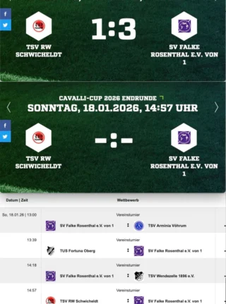 Instagram post from svfalkerosenthal. This post is in position 9.